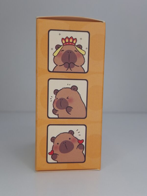 Caja Sorpresa de Capybara - Image 2