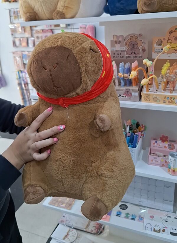 Capybara con Manta - Image 11
