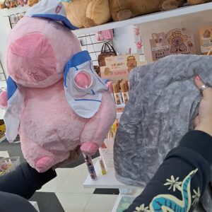 Capybara con Manta