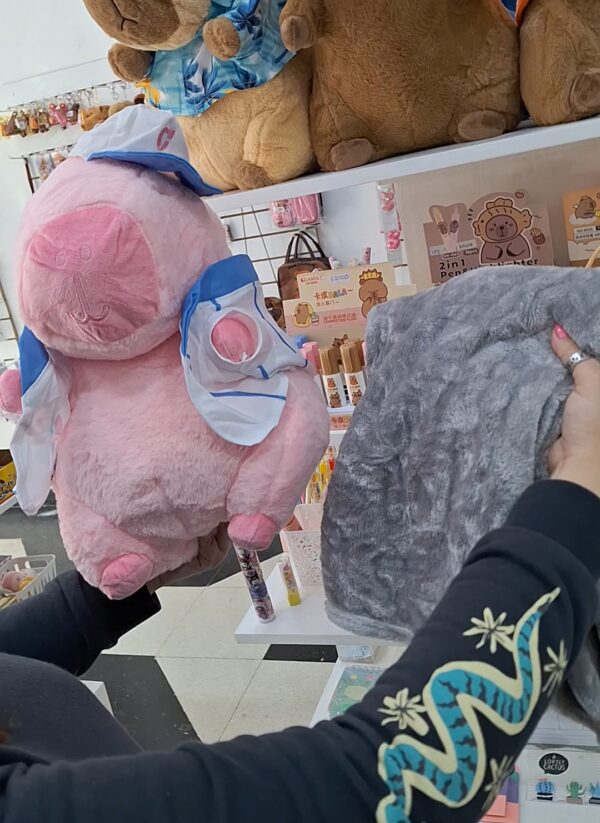 Capybara con Manta